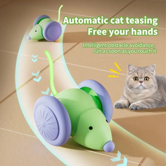 Cat Toy Electric Mouse Car